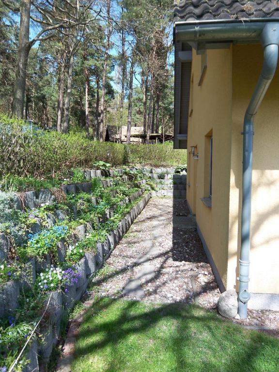 Amelie Heringsdorf (Usedom)